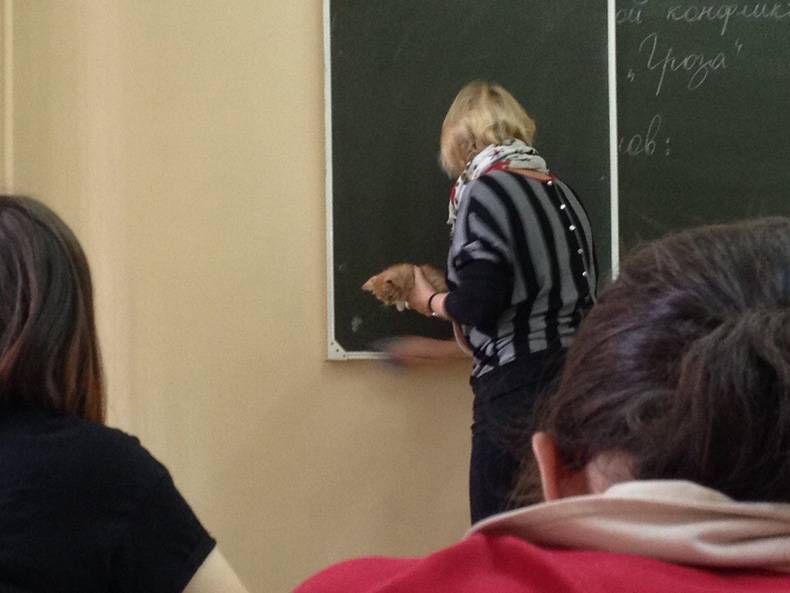 Gewoon een verzameling hilarische foto's #728