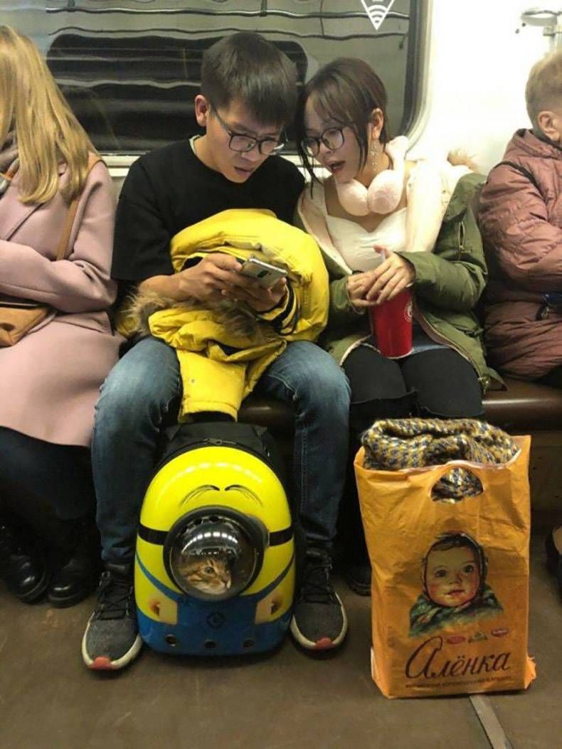 Gewoon een verzameling hilarische foto's #1194