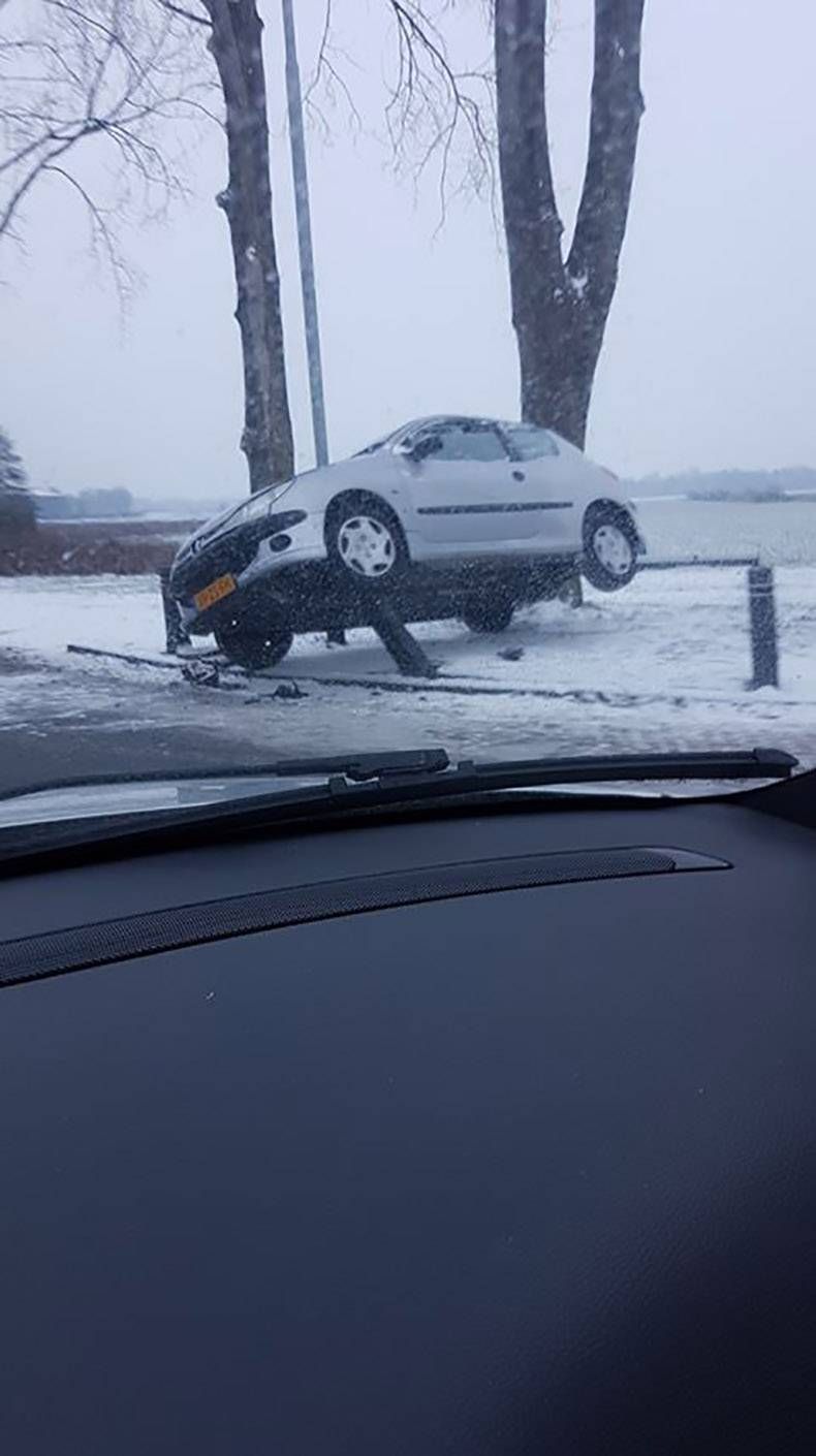 Gewoon een verzameling hilarische foto's #1079