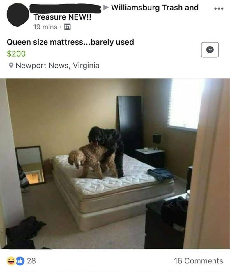 Gewoon een verzameling hilarische foto's #895