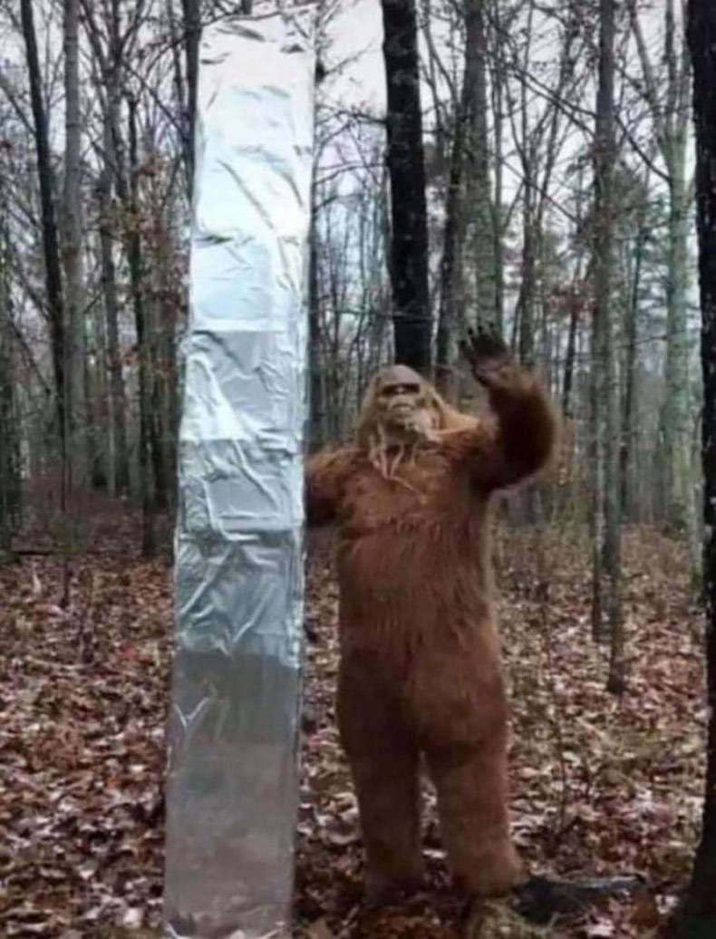 Gewoon een verzameling hilarische foto's #1375
