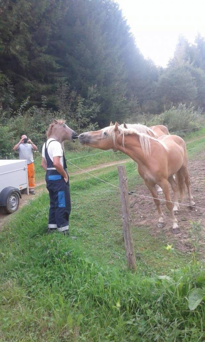 Gewoon een verzameling hilarische foto's #1194