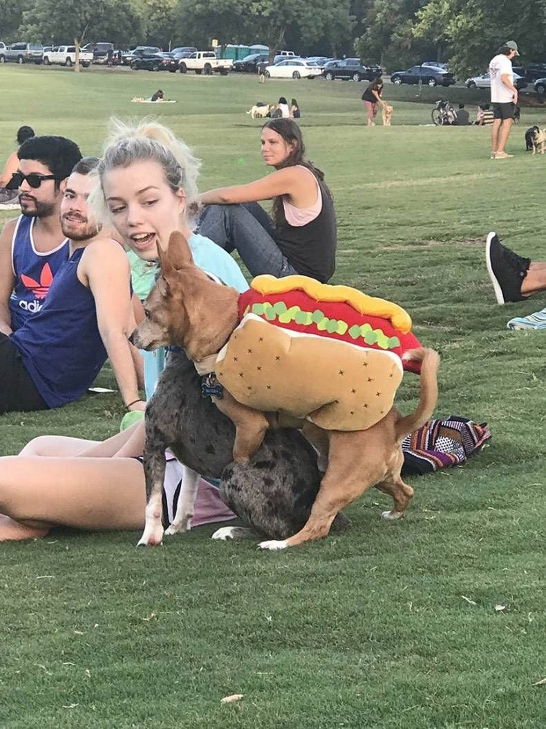Gewoon een verzameling hilarische foto's #999