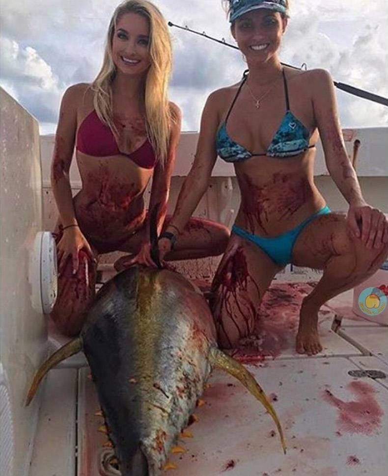 Gewoon een verzameling hilarische foto's #874