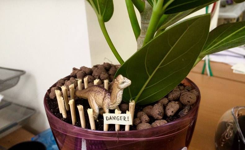 Gewoon een verzameling hilarische foto's #825