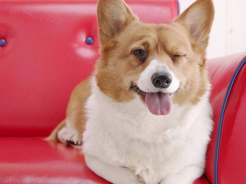 Gewoon een verzameling hilarische foto's #762