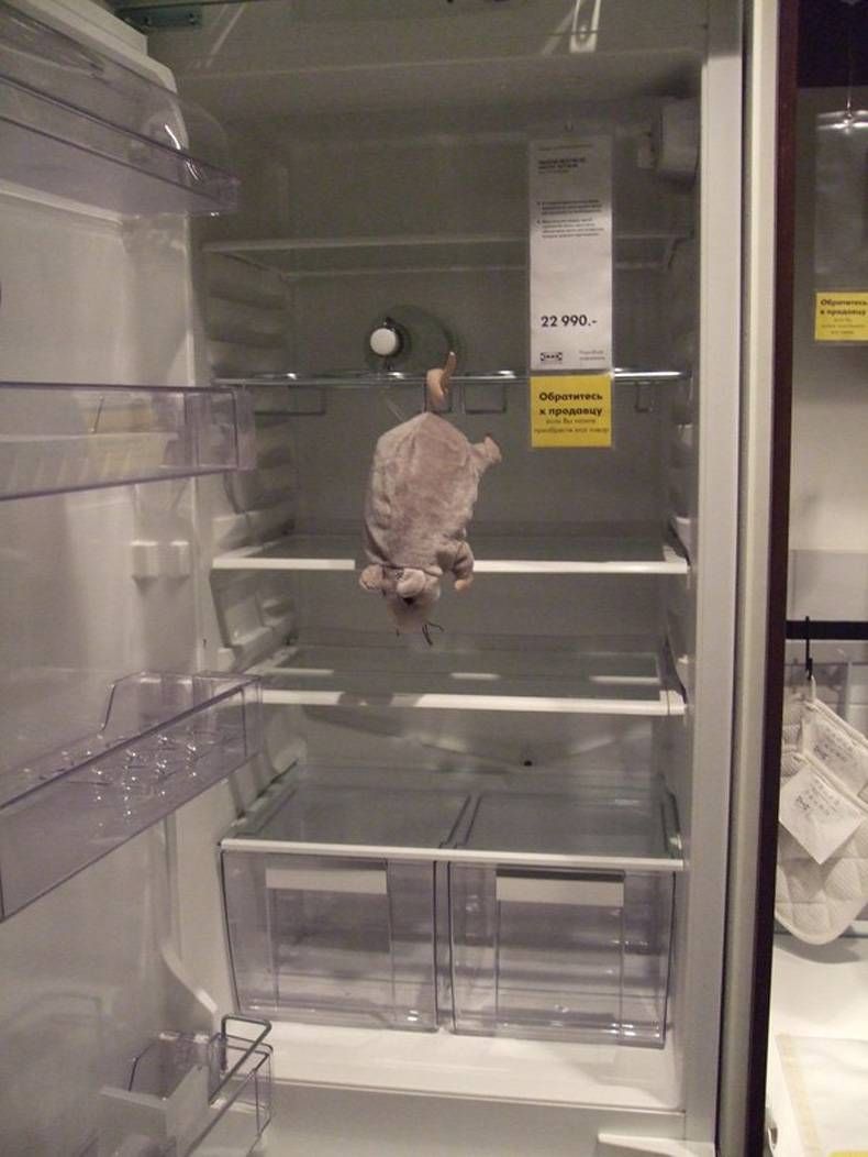 Gewoon een verzameling hilarische foto's #728