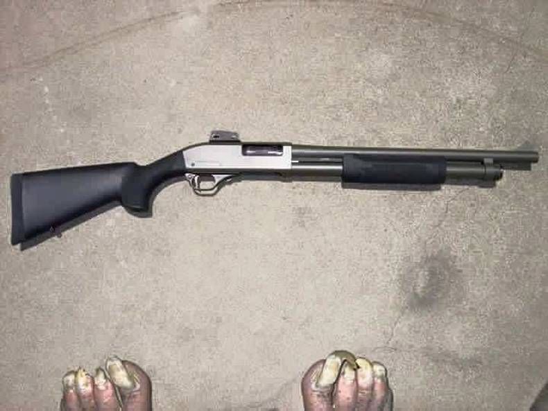 Gewoon een verzameling hilarische foto's #725