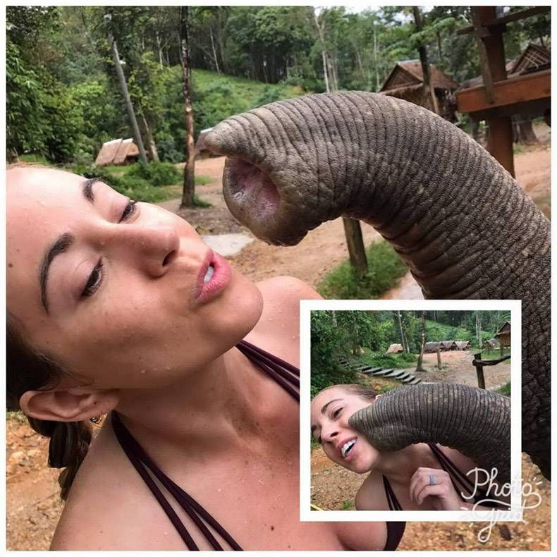 Gewoon een verzameling hilarische foto’s #1336