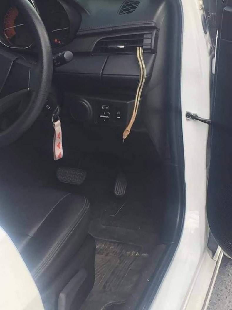 Gewoon een verzameling hilarische foto's #1294