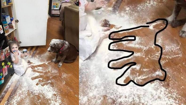 Gewoon een verzameling hilarische foto's #1291