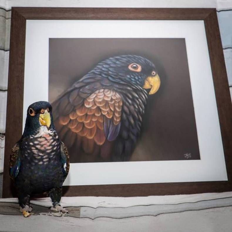 Gewoon een verzameling hilarische foto's #1088