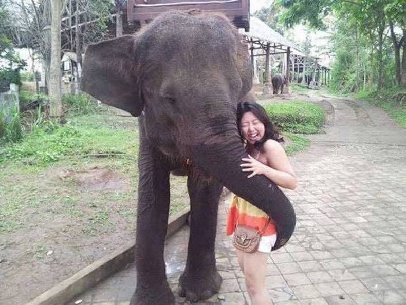 Pix Dump #1000 Special: Gewoon een verzameling foto's van dieren