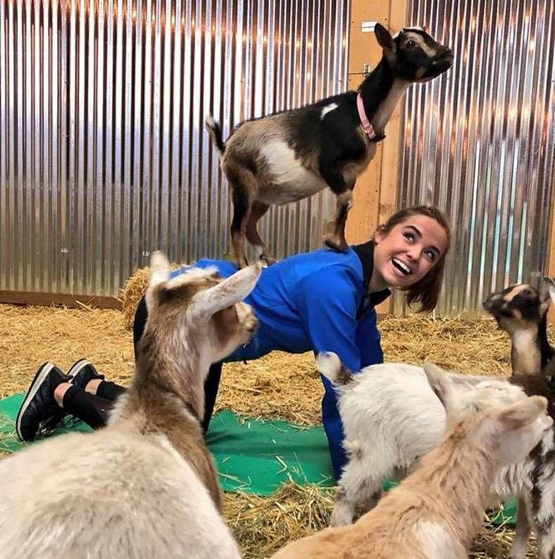 Gewoon een verzameling hilarische foto’s #978