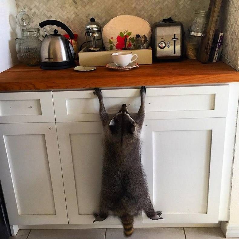 Gewoon een verzameling hilarische foto's #934