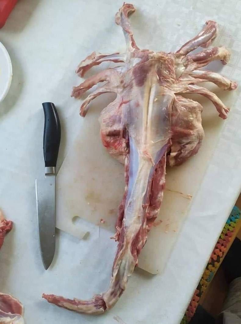 Gewoon een verzameling hilarische foto's #1346