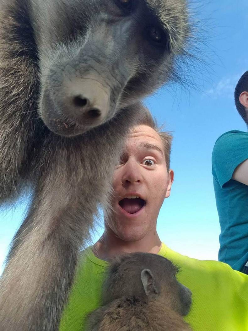 Gewoon een verzameling hilarische foto's #1291