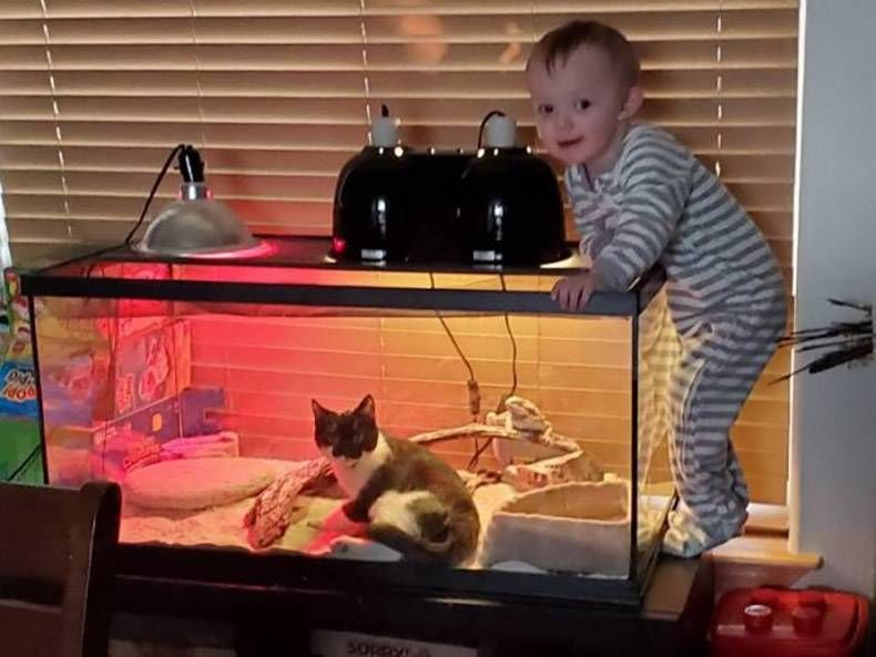 Gewoon een verzameling hilarische foto's #1247