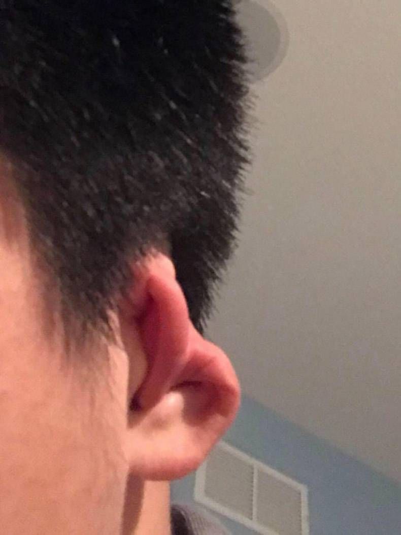 Gewoon een verzameling hilarische foto's #1159