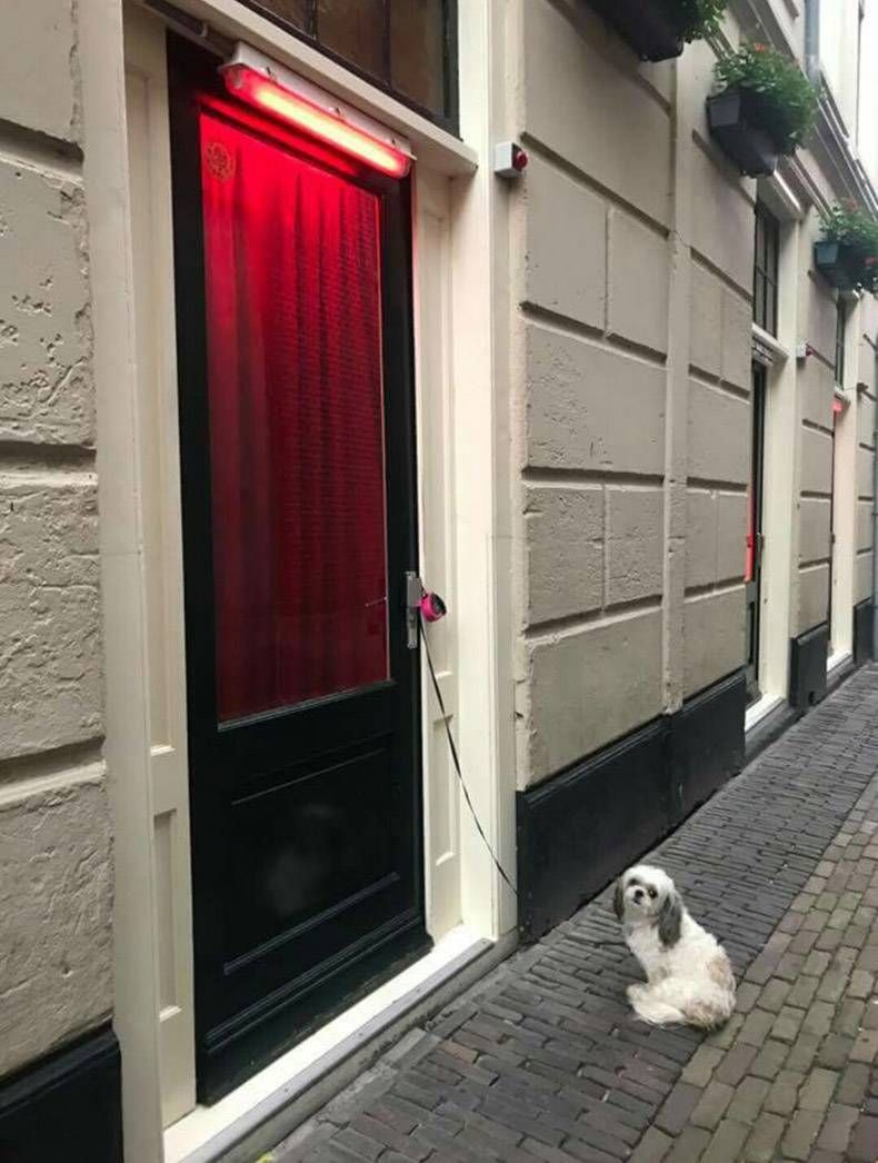 Gewoon een verzameling hilarische foto's #833