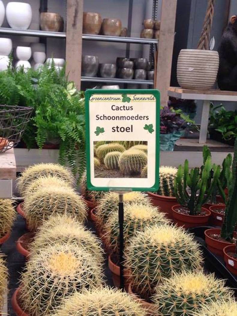 Gewoon een verzameling hilarische foto's #704