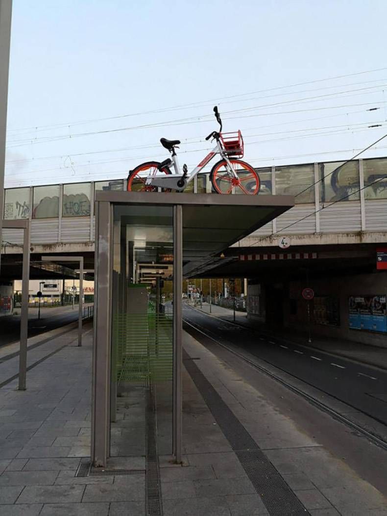 Gewoon een verzameling hilarische foto's #1199