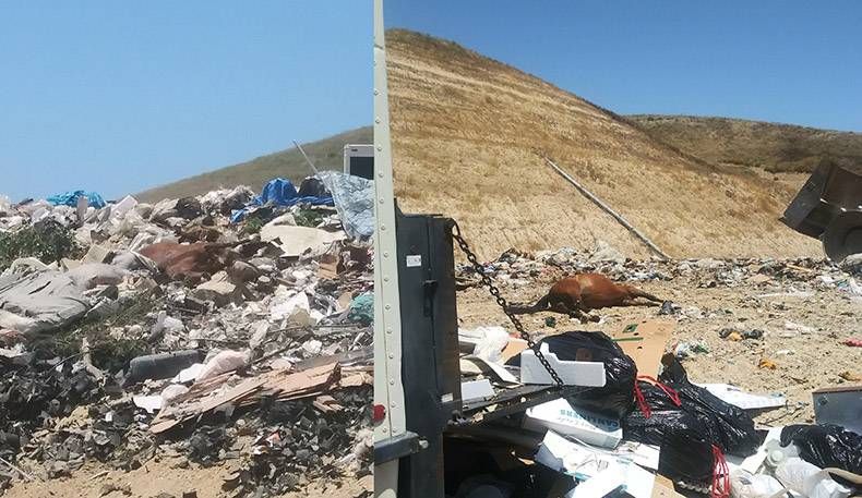 Gewoon een verzameling hilarische foto's #1159