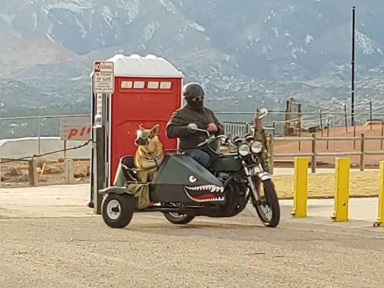 Gewoon een verzameling hilarische foto's #1089