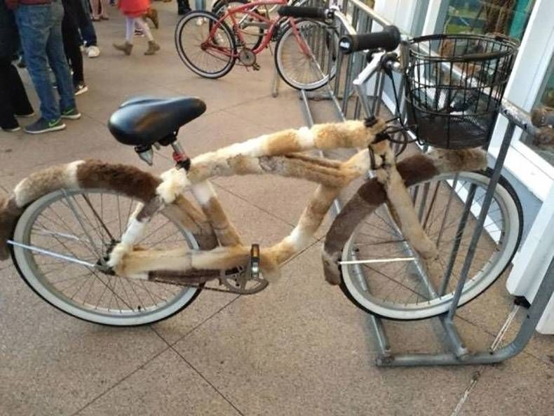 Gewoon een verzameling hilarische foto's #1069