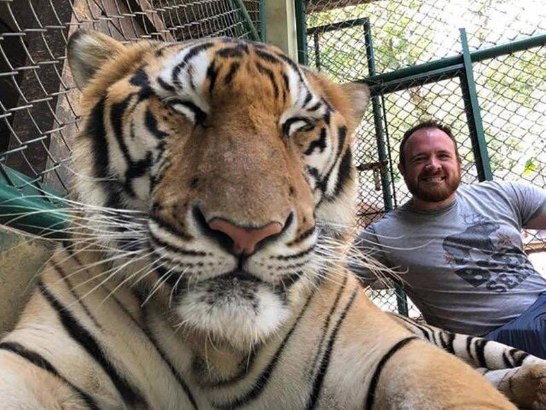 Pix Dump #1000 Special: Gewoon een verzameling foto's van dieren