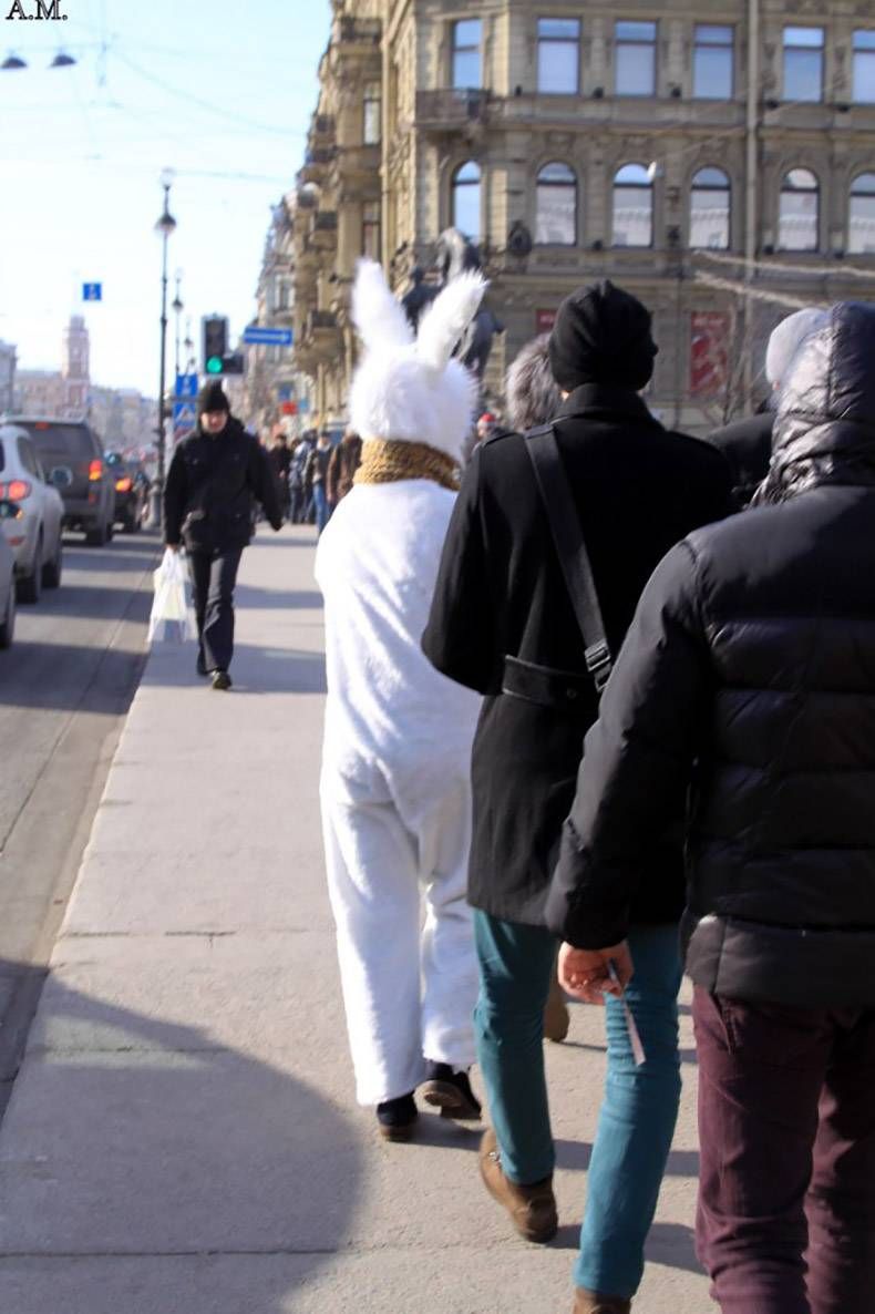 Gewoon een verzameling hilarische foto’s #921