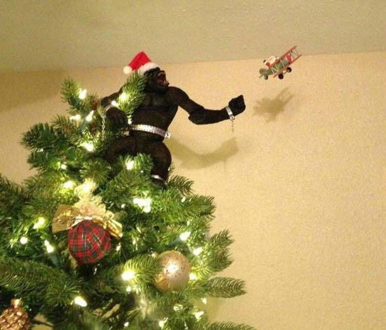Gewoon een verzameling hilarische foto's #903