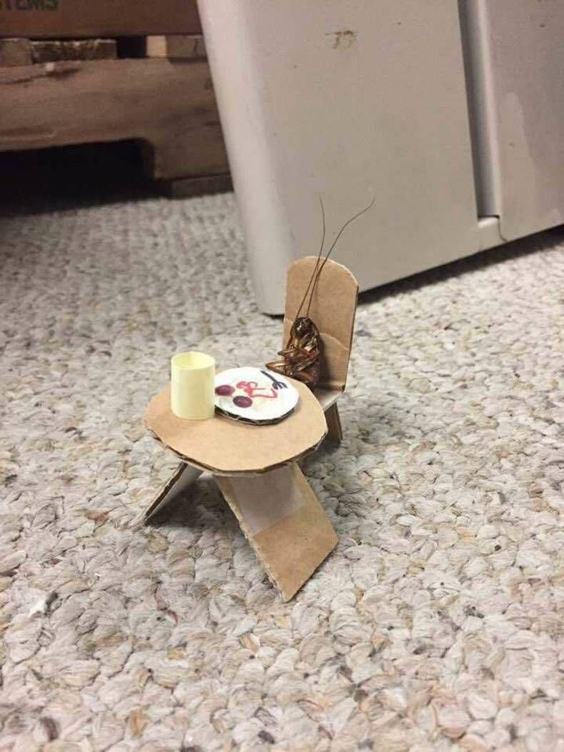 Gewoon een verzameling hilarische foto's #871