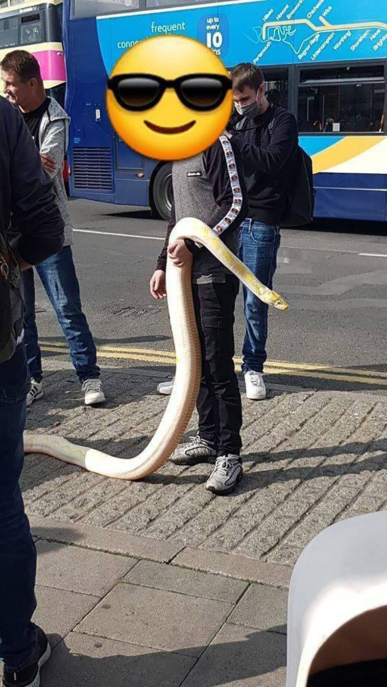 Gewoon een verzameling hilarische foto's #1345