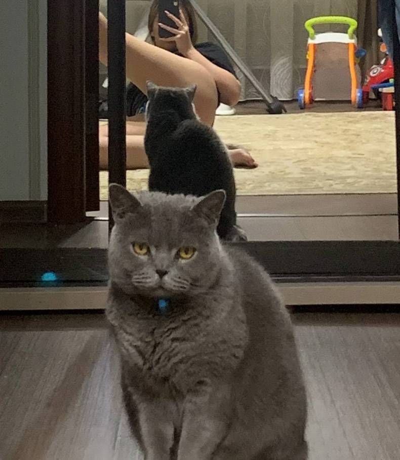 Gewoon een verzameling hilarische foto’s #1336