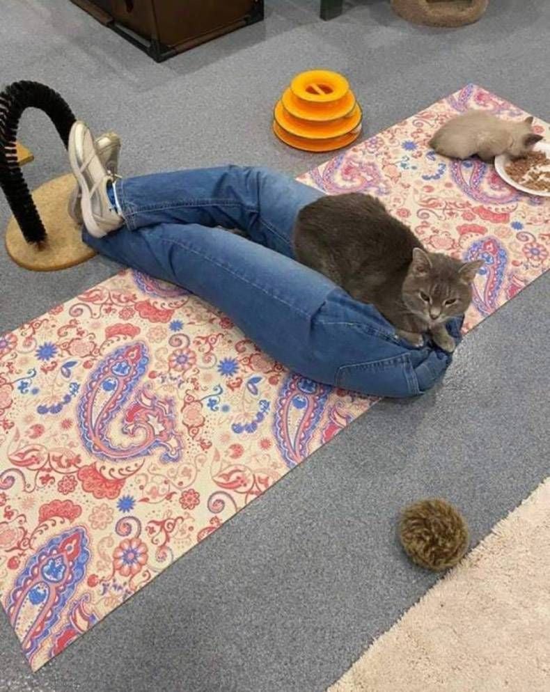 Gewoon een verzameling hilarische foto's #1262