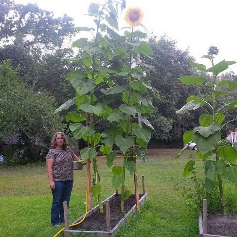 Gewoon een verzameling hilarische foto’s #978