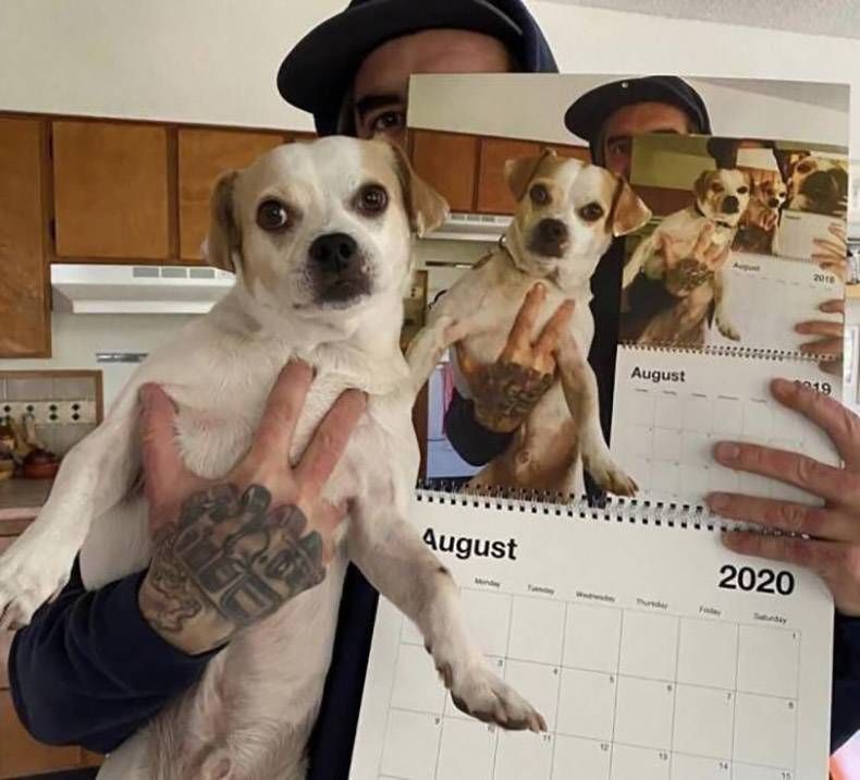 Gewoon een verzameling hilarische foto’s #1322