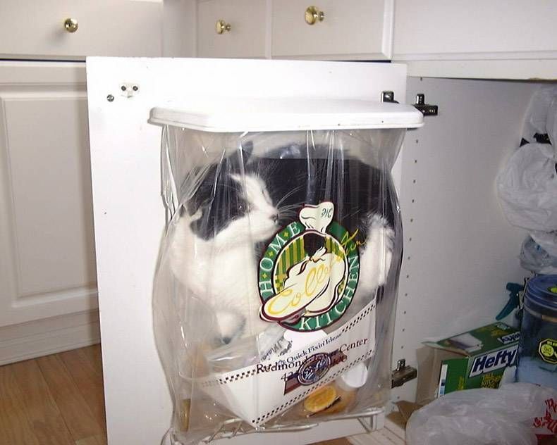 Gewoon een verzameling hilarische foto's #1321