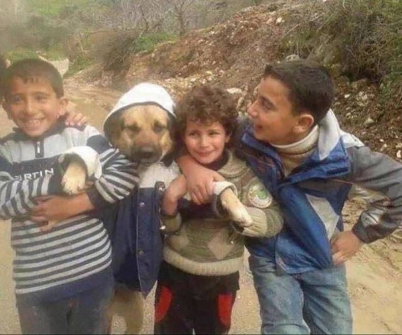 Gewoon een verzameling hilarische foto's #1252