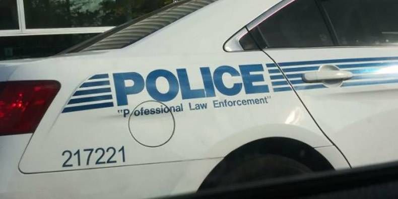 Gewoon een verzameling hilarische foto's #1205