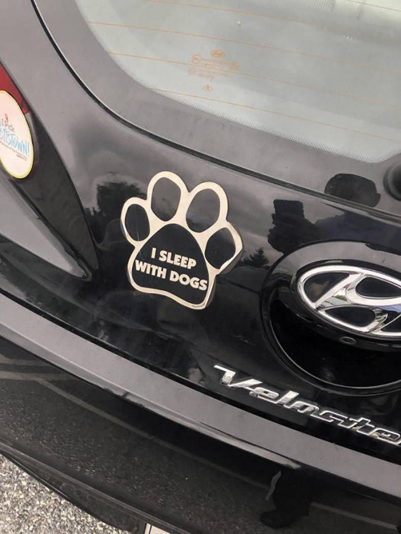 Gewoon een verzameling hilarische foto's #1178