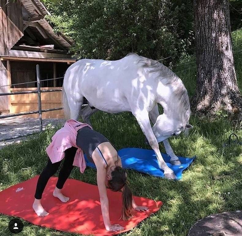 Gewoon een verzameling hilarische foto’s #978