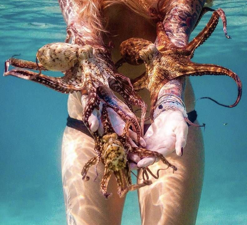 Gewoon een verzameling hilarische foto's #782