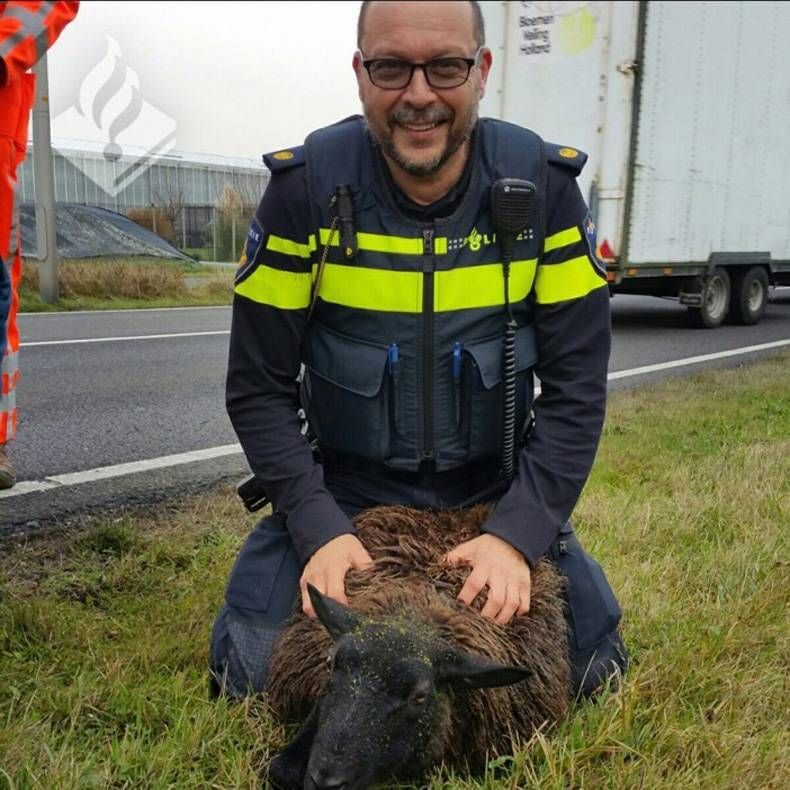 Gewoon een verzameling hilarische foto's #750