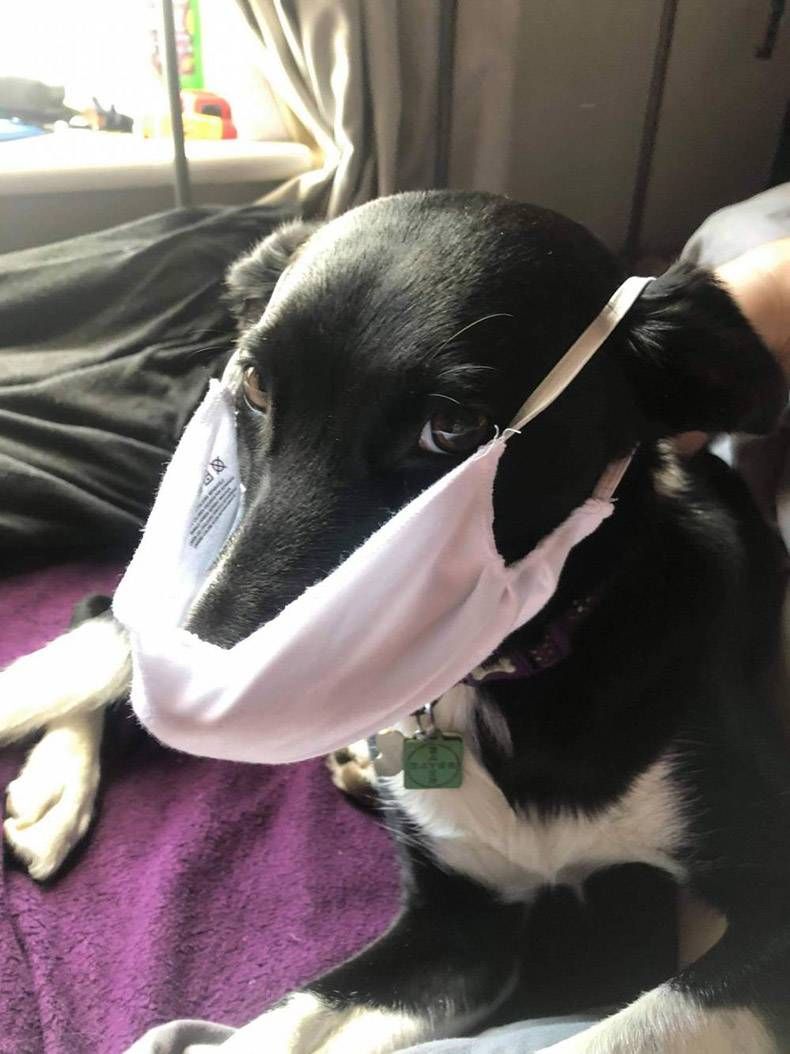 Gewoon een verzameling hilarische foto’s #1326