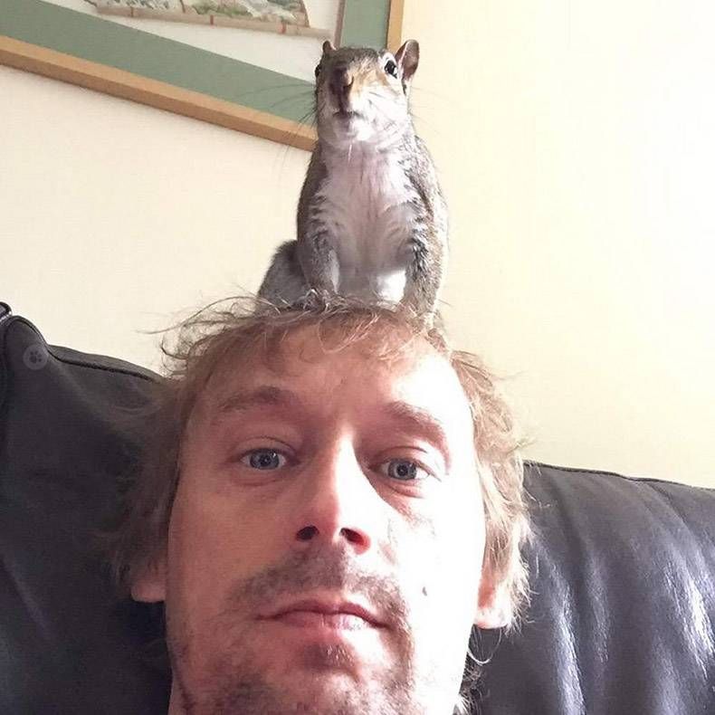 Gewoon een verzameling hilarische foto's #1291