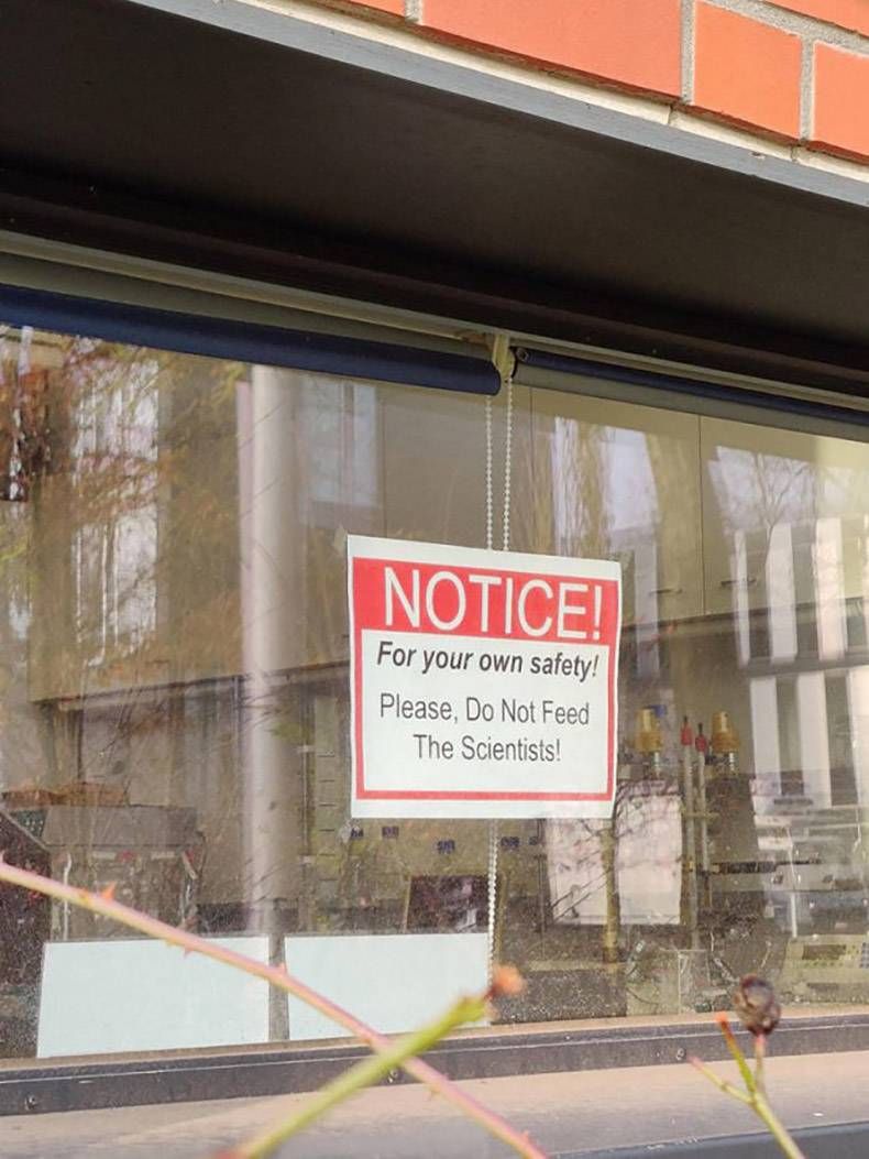 Gewoon een verzameling hilarische foto's #1287