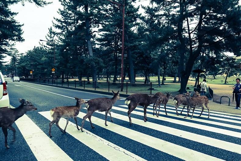 Gewoon een verzameling hilarische foto's #1130