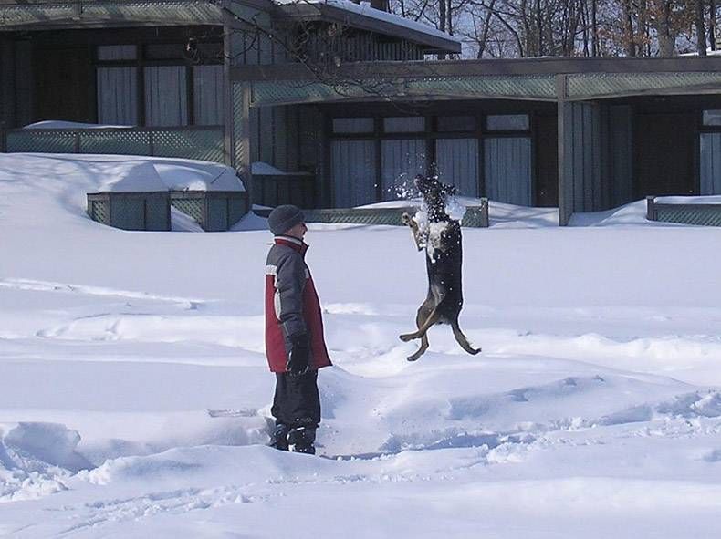 Gewoon een verzameling hilarische foto's #1094